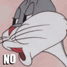127b507a-9c42-44dd-999b-eac07c556c55-image.png