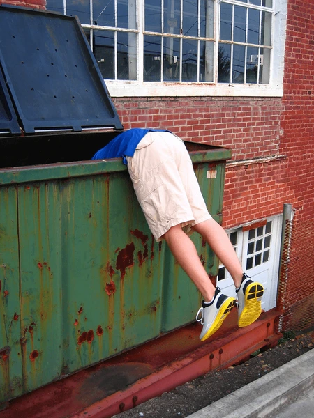 dumpster-diving-600nw-403414.png