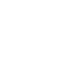 hud_flamethrower_reticle.png