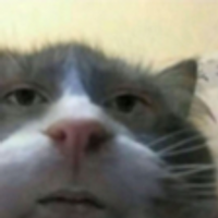 akaRice