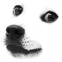 Toron