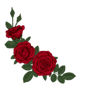 Oshea_XV