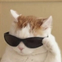 JustKat