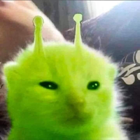 Toboyo