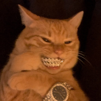 nurr