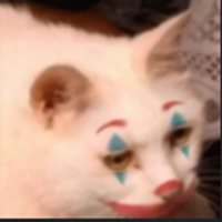 izharmaximus