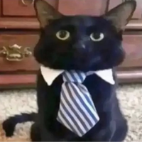 El_Pastasas