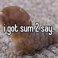 SSoy.