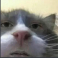 ITheFatman
