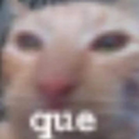 sebatsu
