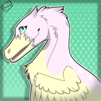 chusidragon