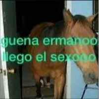 prepucio89