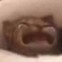_W1q
