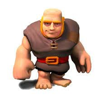 scottin