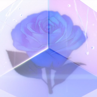 Da7k