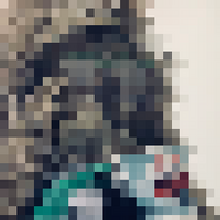 Bush64