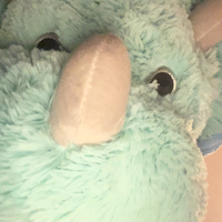 HSRB