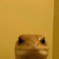 gilbertgaming27