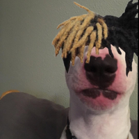 OLIBTW
