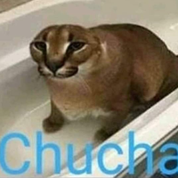 catshadow7