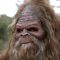 Fat Sasquatch