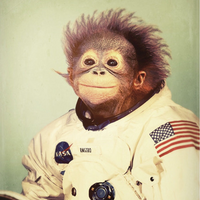 spacemonkeyjawsm