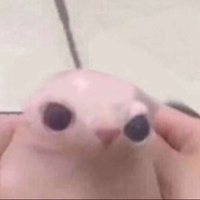 xXUltraJanXx