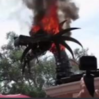 dragonfire24424