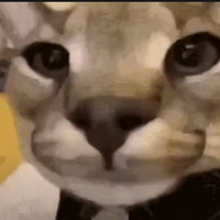Oeya