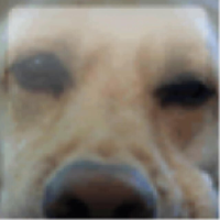 carlosordonez69