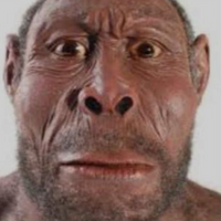 Bebeduketo