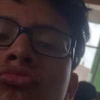 Benjix_Taube