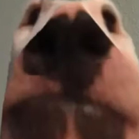 DavidePG