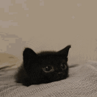 MysteriousCube