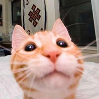 mshlq