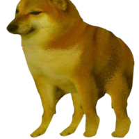 Manolo2004