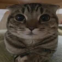 Niyba