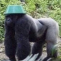 monkyboy