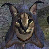 WgnwChomusuke