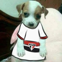 Felps_Anao