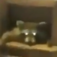 SupervixtorV2