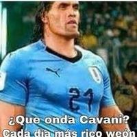 gonadas