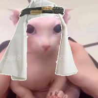 Sheikh Sumbus