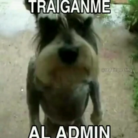 gordo_diabetico