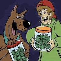 ScoobyDoo23