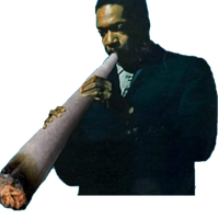 Dylstu
