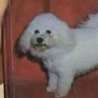 MarieteColequete