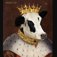 CoopsterCow
