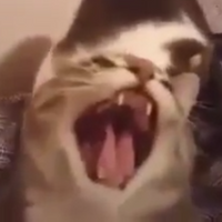 SirChipII