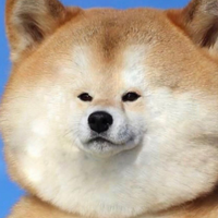DYKOBRO